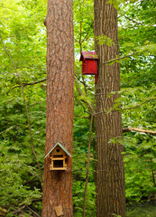 bird house on a tree