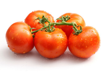 Branch of tomatoes isolated in white