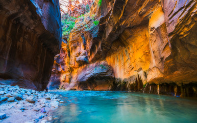 zion narrow  with  vergin river in Zion National park,Utah,usa.
