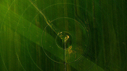 Agriculture aerial view with circular crop irrigation