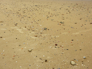 Fototapeta na wymiar sand beach with shells and stone
