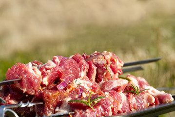 Prepared marinated with onions and herbs pieces of meat for barbecue. raw marinated skewers on skewers. Marinated beef BBQ Skewers arranged with pepper ready for grill.