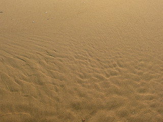 Fototapeta na wymiar sand beach texture