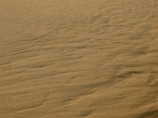 sand beach texture