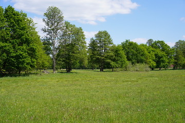 Ländlicher Spreewald