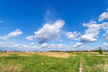 Fototapeta na wymiar Summer landscape with green grass. Field and clouds. Rural summer landscape.