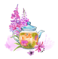 Handmade watercolor fire herbal tea for health. A glass teapot with chamerion tea and a bouquet of medicinal herbs and flowers in the background on a white background. Fireweed.