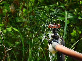 old leaky faucet
