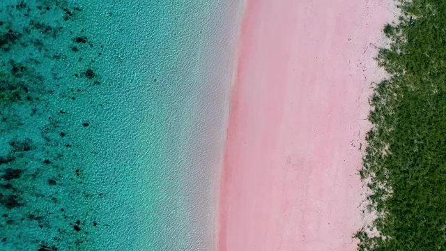 aerial view of pink beach in indonesia