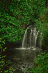 Fototapeta premium Hidden waterfall surrounded by lush foliage, Oregon, Pacific Northwest United States