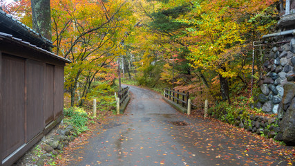 Walkway with small bridge over river with beautiful colorful autumn trees for background with copy space , Nikko