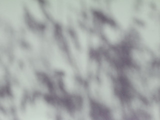 shadow of leaf on wall vintage style