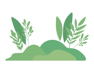 Isolated green leaves vector design