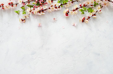 Spring blooming branches on white background. Copy space. Top view.