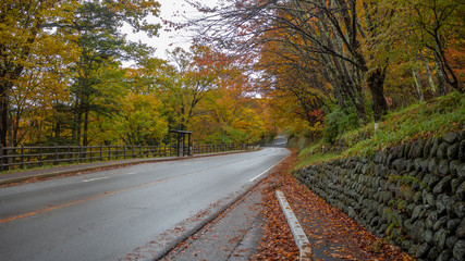 Empty small street at rural area with beautiful colorful maple treees on mountain for background with copy space , Nikko