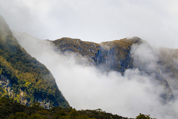 Doubtful Sound / Milford Sound in Neuseeland - Spiegelung perfekt