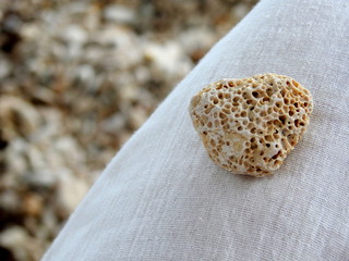 Kamień z morza w Chorwacji