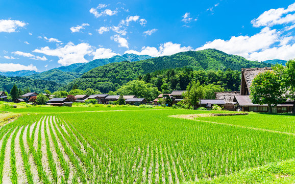 「田園風景」の写真素材 | 3,940,220件の無料イラスト画像 | Adobe Stock