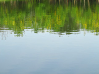 Obraz na płótnie Canvas reflection in water, blur of tree and blue sky