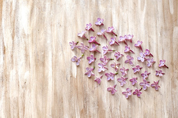 Painted tree in white, vintage background, lilac. Free space for text. Space. Background and texture.White wood background.