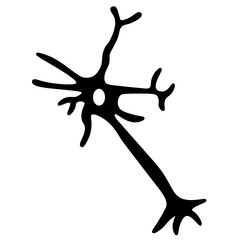 Neuron