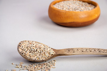 Unpeeled raw oats in a wooden spoon on a wooden table