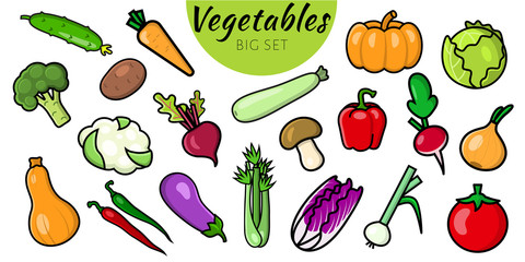 Set of 20 vegetable icons isolated on a white background. bright icons in the flat style. healthy food, organic food, vegetarian food. Vector illustration.