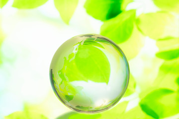 美しい緑の地球