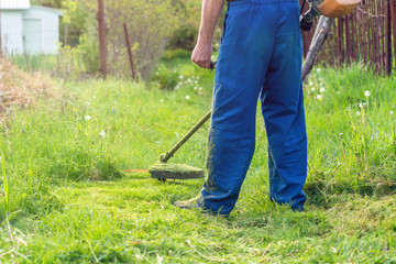 The gardener mows the grass with a trimmer in the spring garden