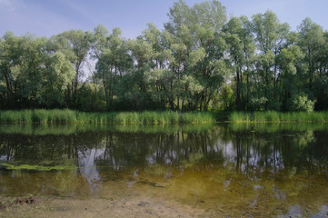Fototapeta na wymiar river, land with trees and blue sky