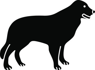 An icon illustration of a Border Collie