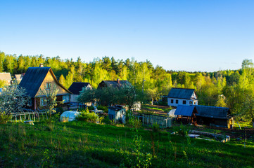 Cottage village with houses near the forest