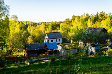 Cottage village with houses near the forest