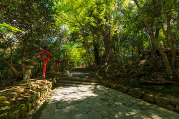 八幡様の総本宮春の宇佐神宮【大分県】