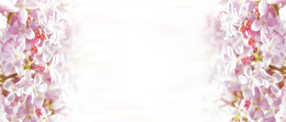 spring banner with lilac flowers, copy space