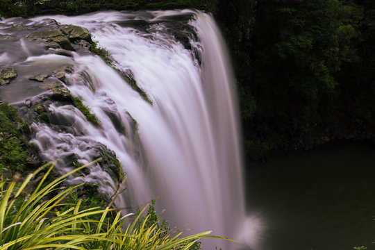 Whangarei Falls Neuseeland