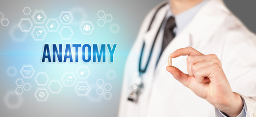 Obraz premium Close-up of a doctor giving you a pill with ANATOMY inscription, medical concept