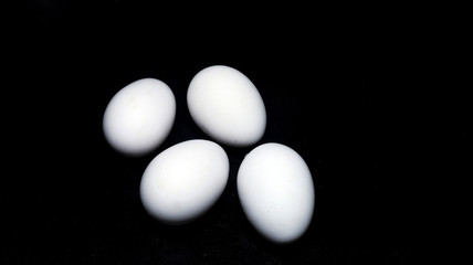 Eggs in a black background
