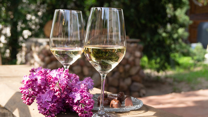 two glasses of white wine and flowering branches of lilac in the garden 