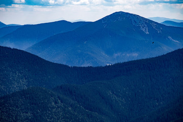 The bird flies on a background of foggy mountains, forest and rainy sky. Mountains panorama