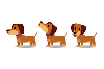 Obraz na płótnie Canvas Set of vector cartoon character dachshund dog poses for design.