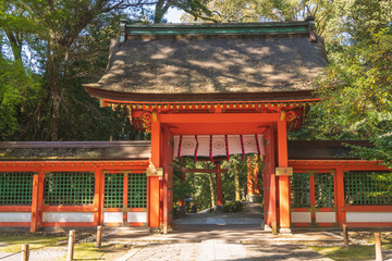 八幡様の総本宮春の宇佐神宮【大分県】