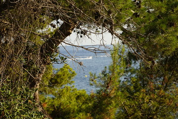 paisaje con cala y puerto de fondo