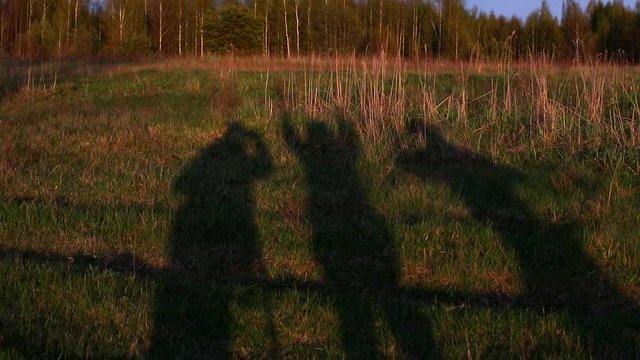 Three human shadows in a forest clearing on the grass in full growth swing their entire body illuminated by the warm light at the end of the day.A bright evening at sunset.Performance at dusk.Russia