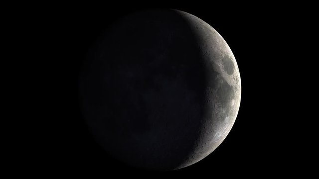 Ein gesamter Mondphasenzyklus von einem Neumond zu Neumond.