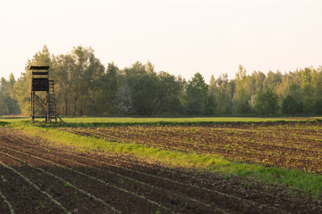 Ambona myśliwska w polu i lesie 