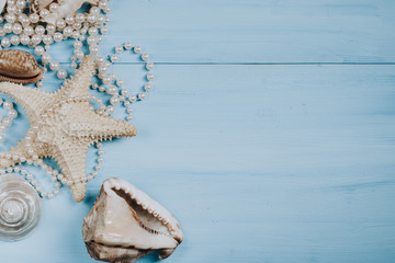Sea shells and pearls on a blue background. Must for text on the right.