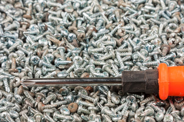 Screwdriver lying on a pile of white screws. Tool and equipment.
