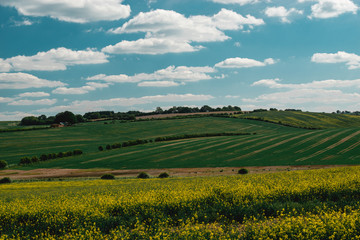 Fototapeta premium Countryside landscape or English field in Springtime.