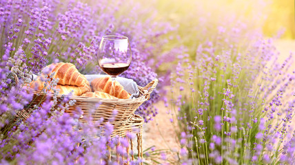 Wine and croissant against lavender landscape in sunset rays. Harvesting of aromatic lavender. A basket filled with fresh food stands at midlle of lavender field.